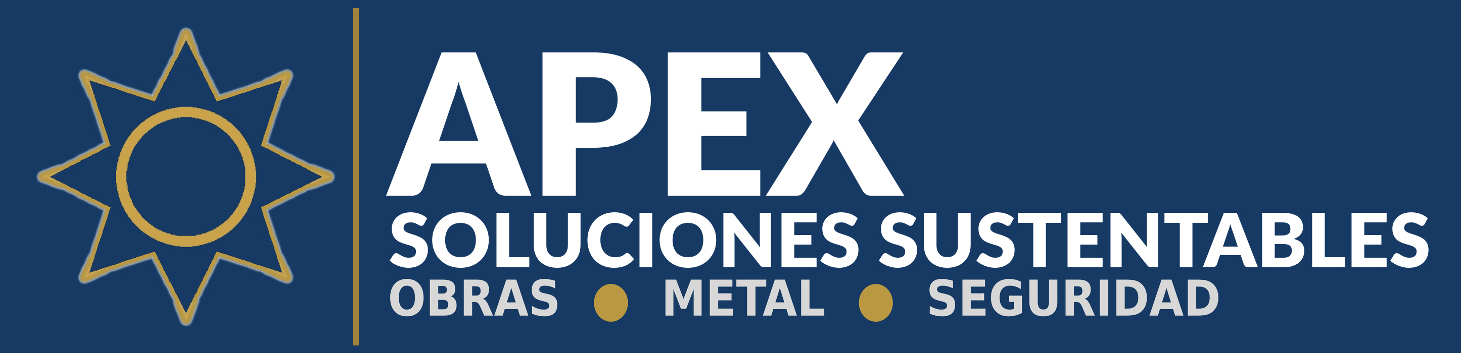 apexsoluciones.cl